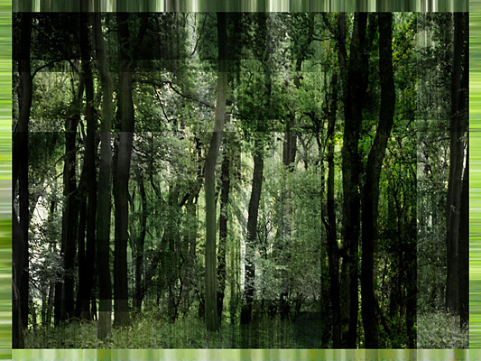 gruenblick, pigmentdruck